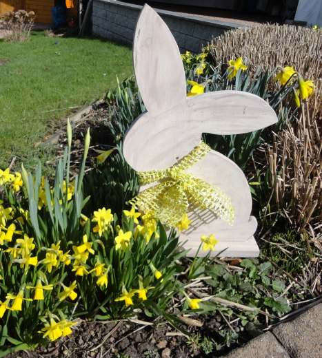 Gutschein 10,-- Euro