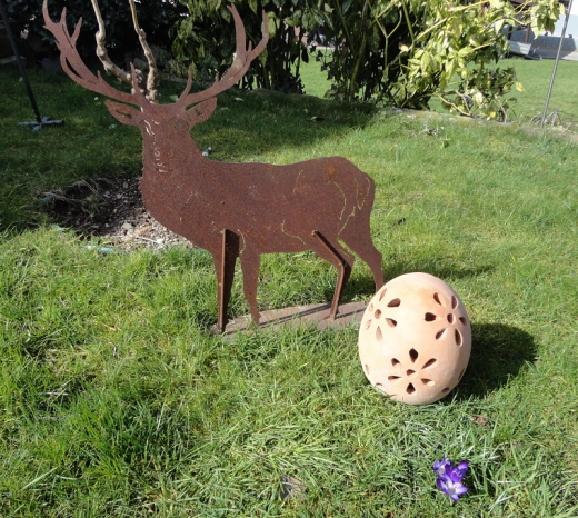 Gutschein 20,-- Euro