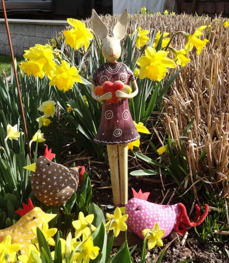 Gutschein 50,-- Euro