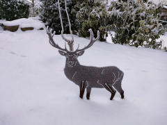 Gutschein 10,-- Euro